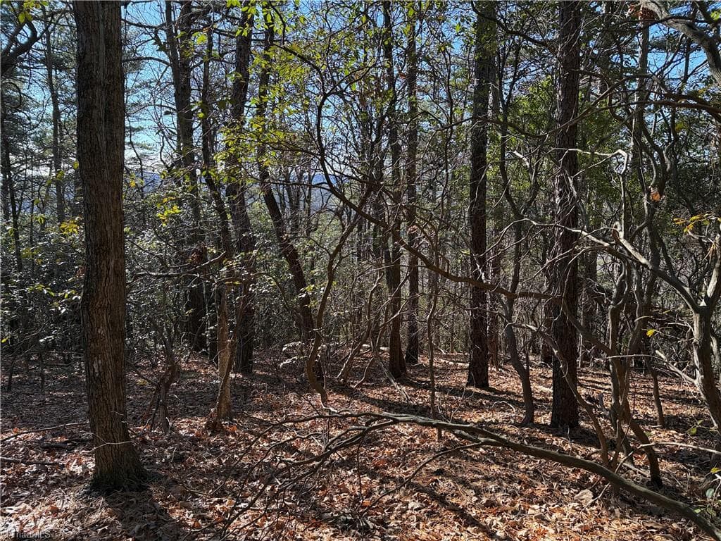 Single Family Residence at Lot 27 Bobcat Mountain Road, Purlear NC 28665, Purlear, photo 14 of 40