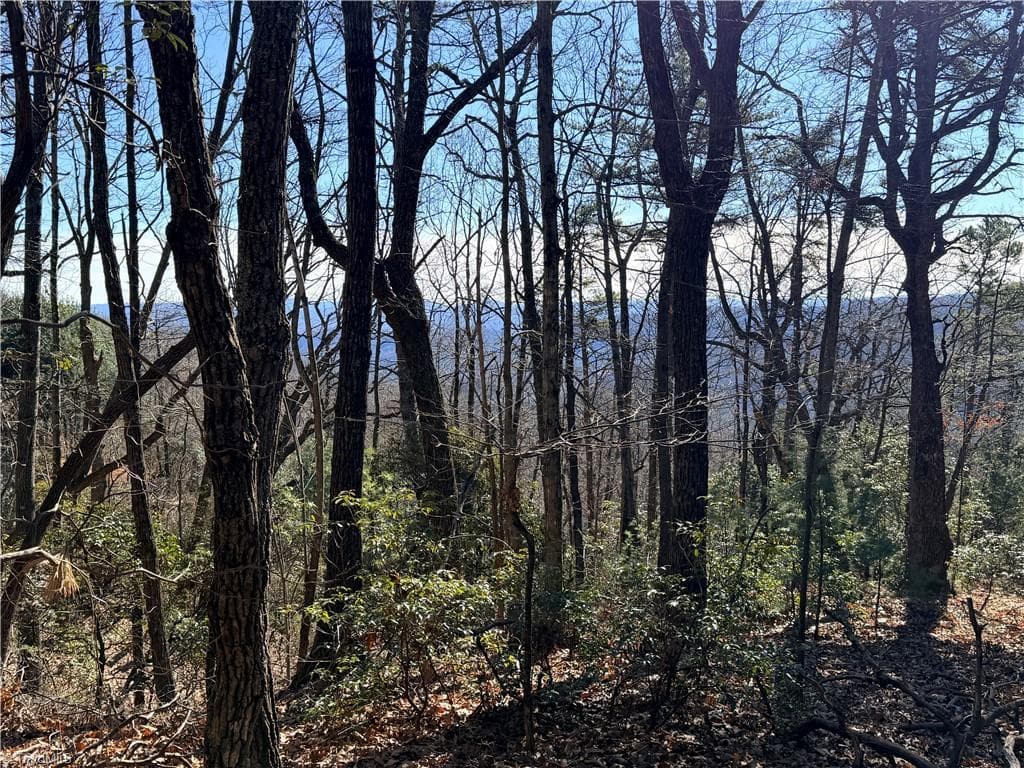 Single Family Residence at Lot 27 Bobcat Mountain Road, Purlear NC 28665, Purlear, photo 18 of 40
