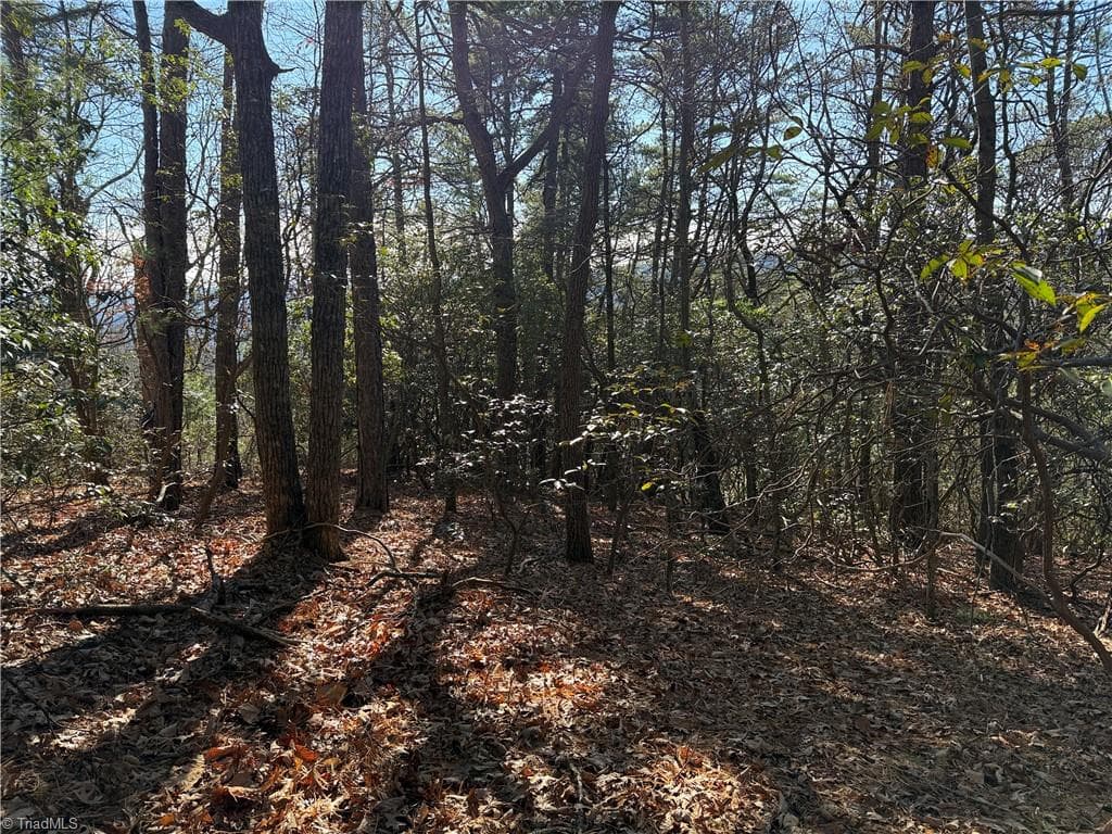 Single Family Residence at Lot 27 Bobcat Mountain Road, Purlear NC 28665, Purlear, photo 15 of 40