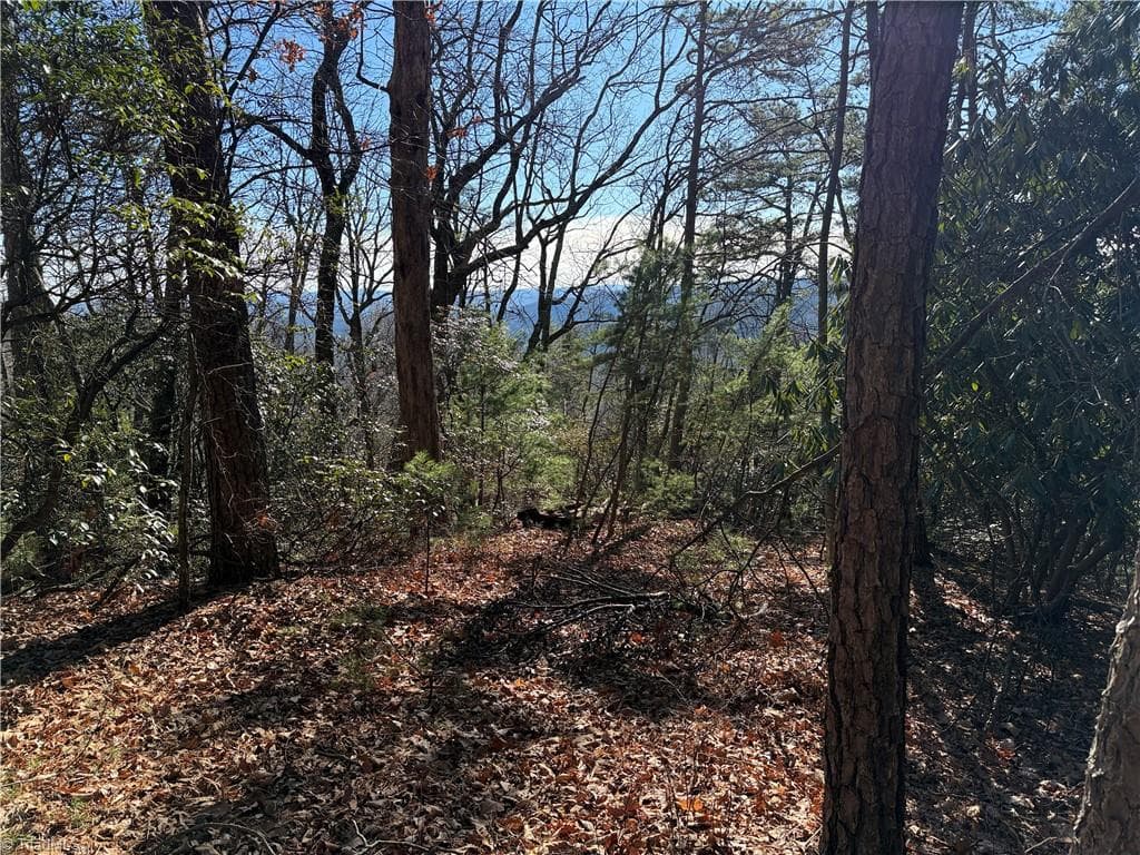Single Family Residence at Lot 27 Bobcat Mountain Road, Purlear NC 28665, Purlear, photo 8 of 40