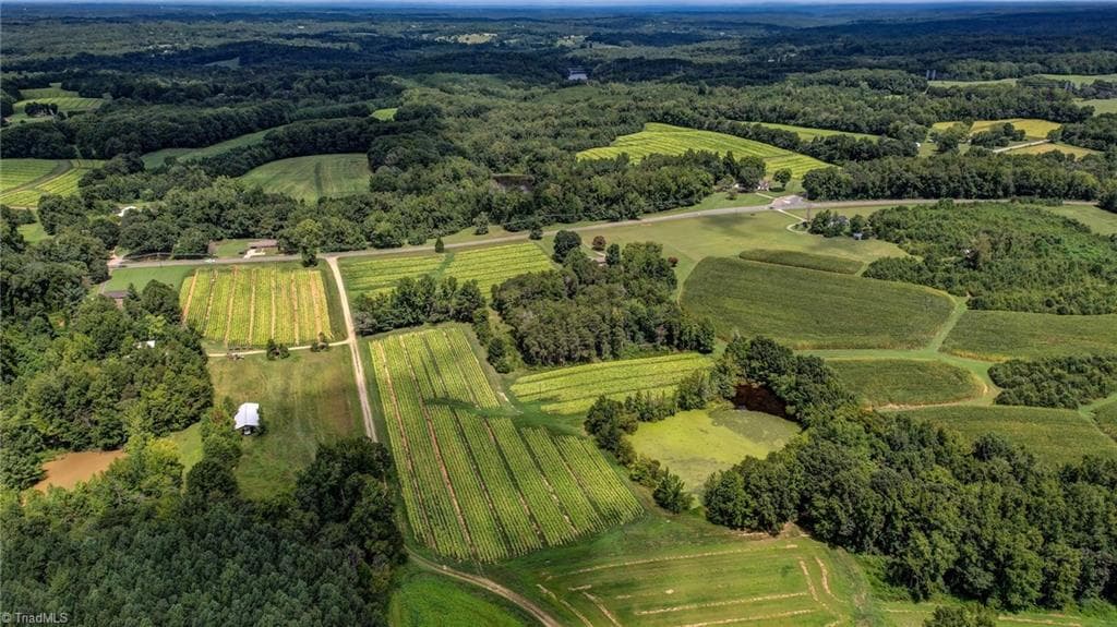 Agriculture at 00 Ol Road, Reidsville NC 27320, photo 17 of 27