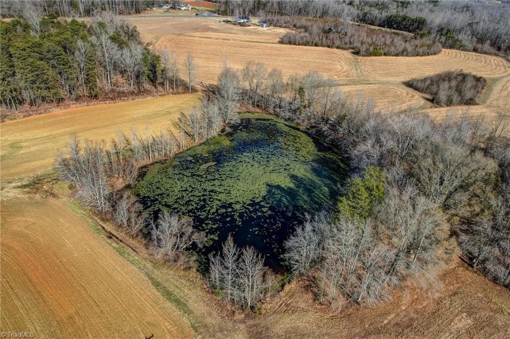 Agriculture at 00 Ol Road, Reidsville NC 27320, photo 14 of 27
