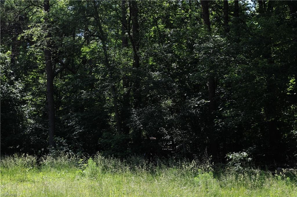 Woods at back of lot - 7220 East Fork Road, High Point NC 27265, High Point