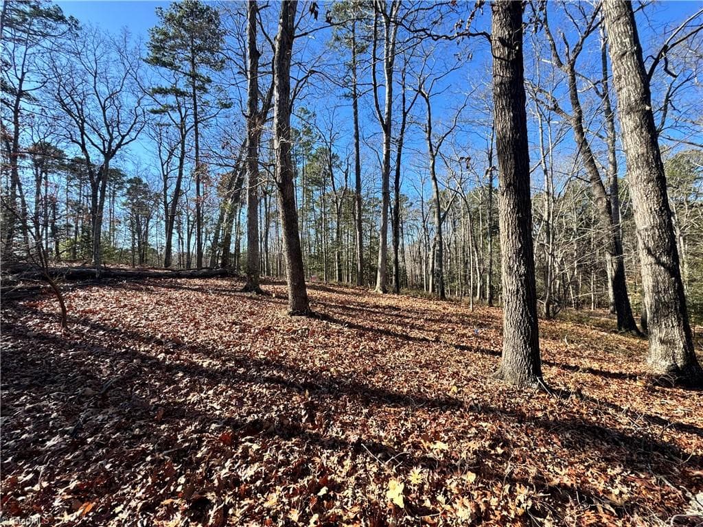 Unimproved Land at 188 Starboard Reach, Lexington NC 27292, Lexington, photo 2 of 18