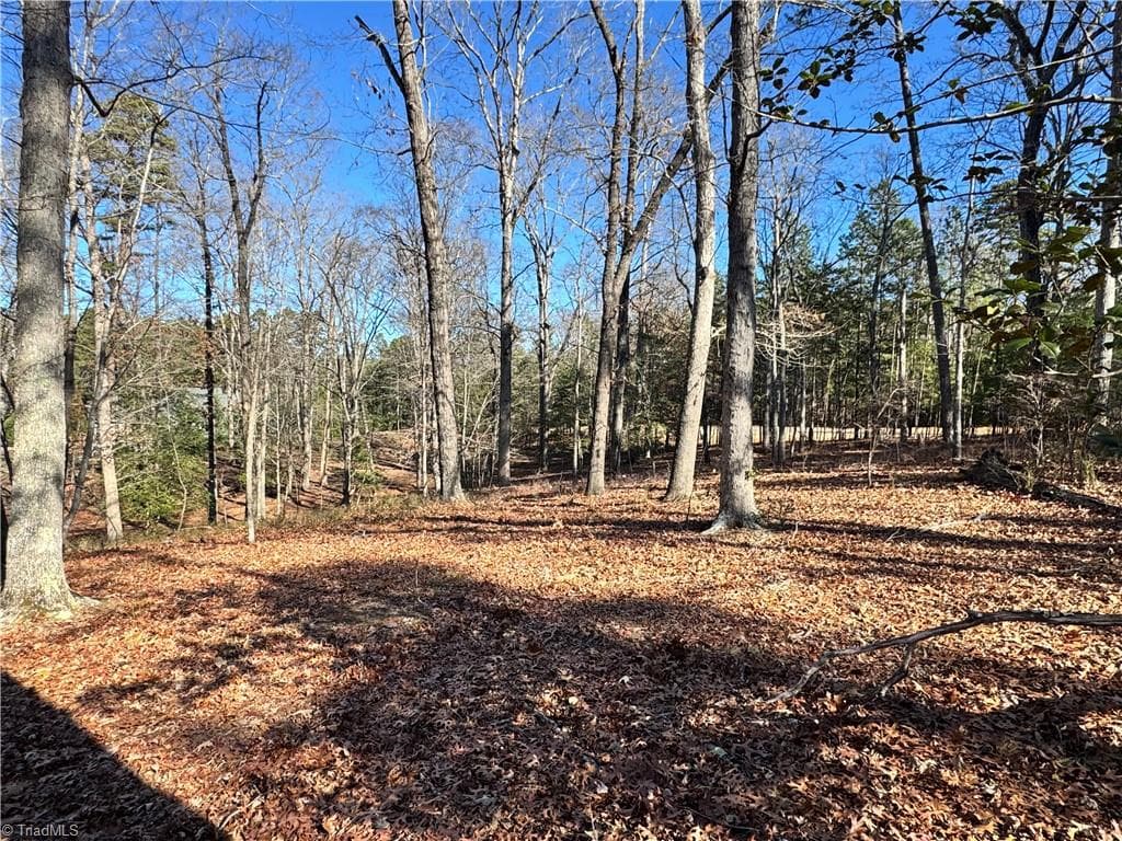 Unimproved Land at 188 Starboard Reach, Lexington NC 27292, Lexington, photo 3 of 18