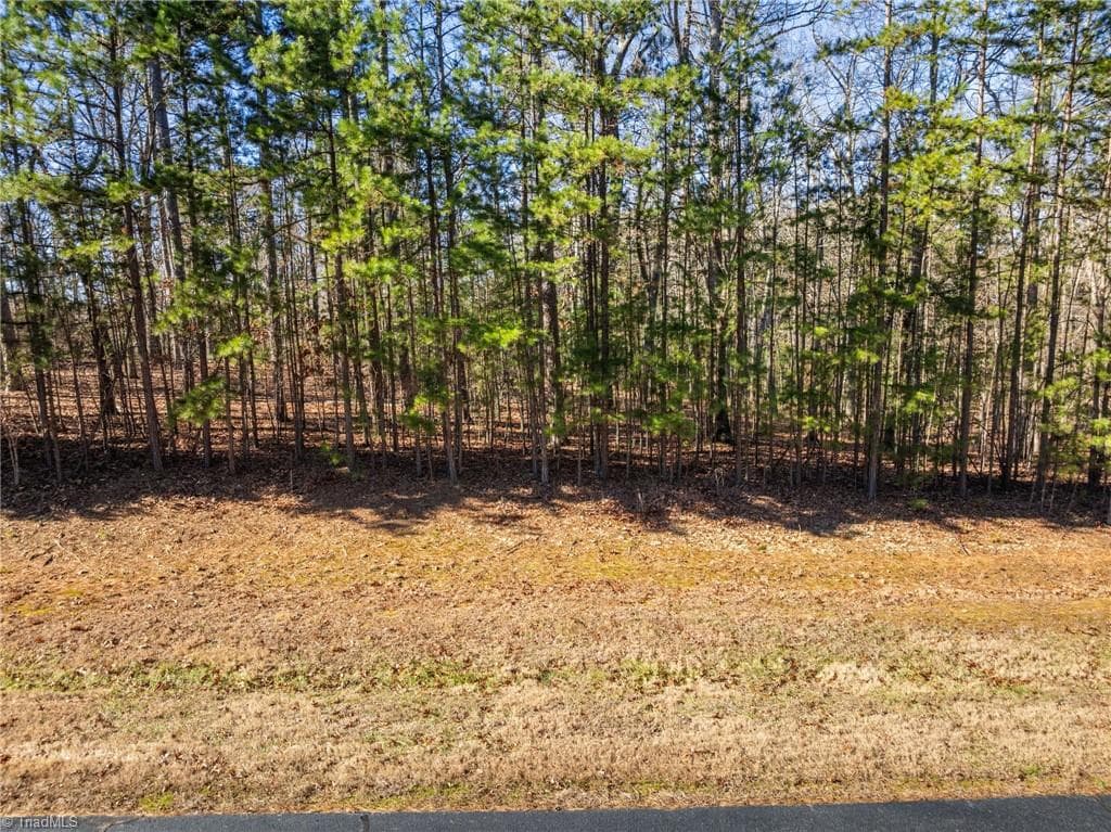 Unimproved Land at 188 Starboard Reach, Lexington NC 27292, Lexington, photo 14 of 18