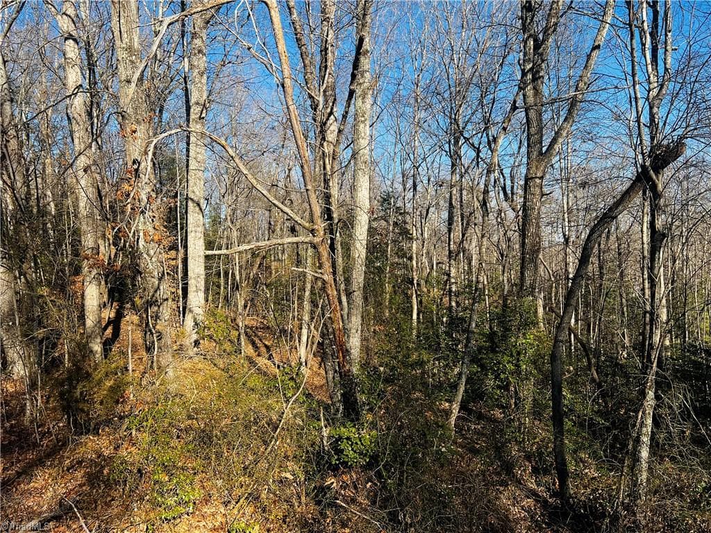 Single Family Residence at TBD Holly Springs Road, Mount Airy NC 27030, Mount Airy, photo 3 of 10