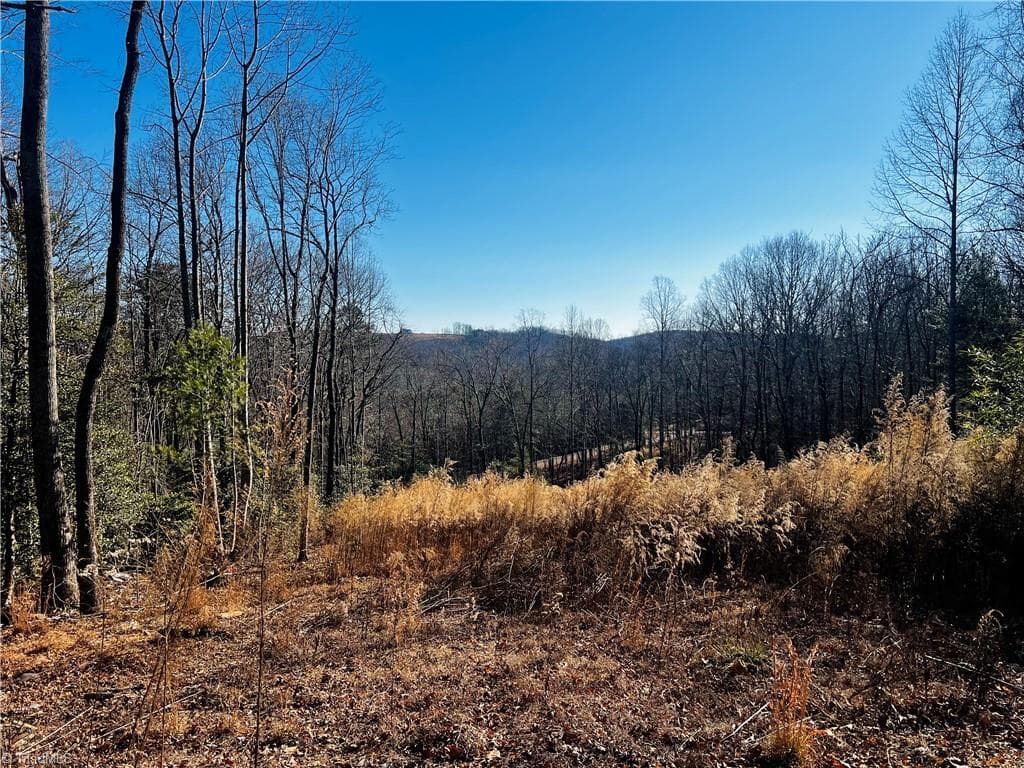 Single Family Residence at TBD Holly Springs Road, Mount Airy NC 27030, Mount Airy, photo 5 of 10