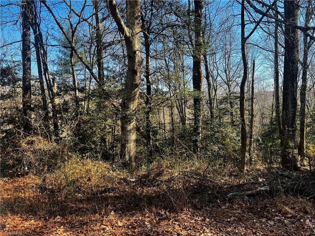 Single Family Residence at TBD Holly Springs Road, Mount Airy NC 27030, Mount Airy, photo 7 of 10