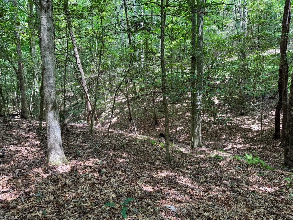 Unimproved Land at 0 Rainbow Trout Drive, Hays NC 28635, Hays, photo 25 of 44