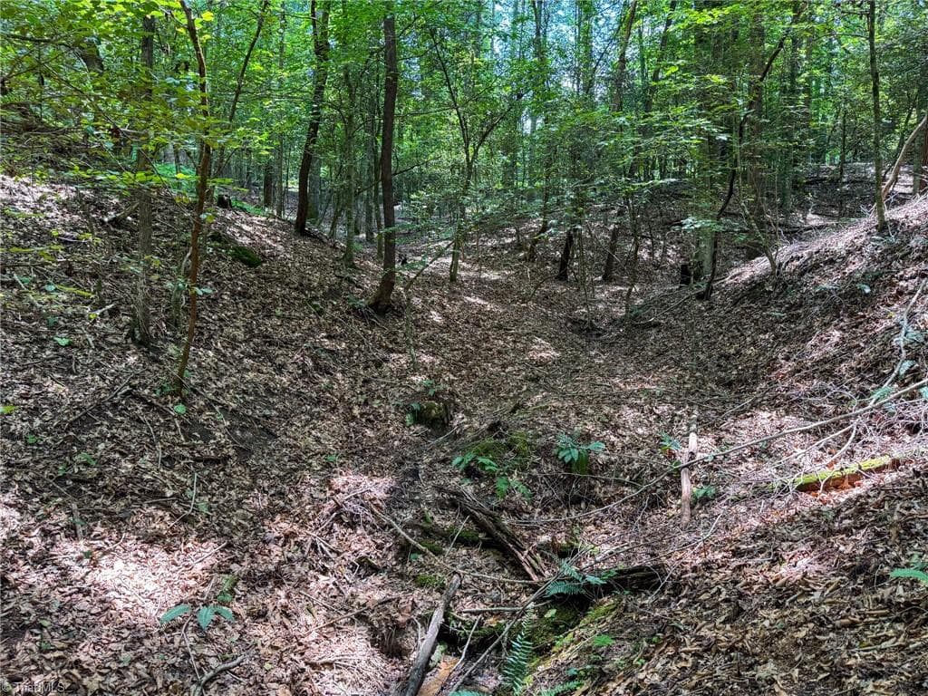 Unimproved Land at 0 Rainbow Trout Drive, Hays NC 28635, Hays, photo 31 of 44