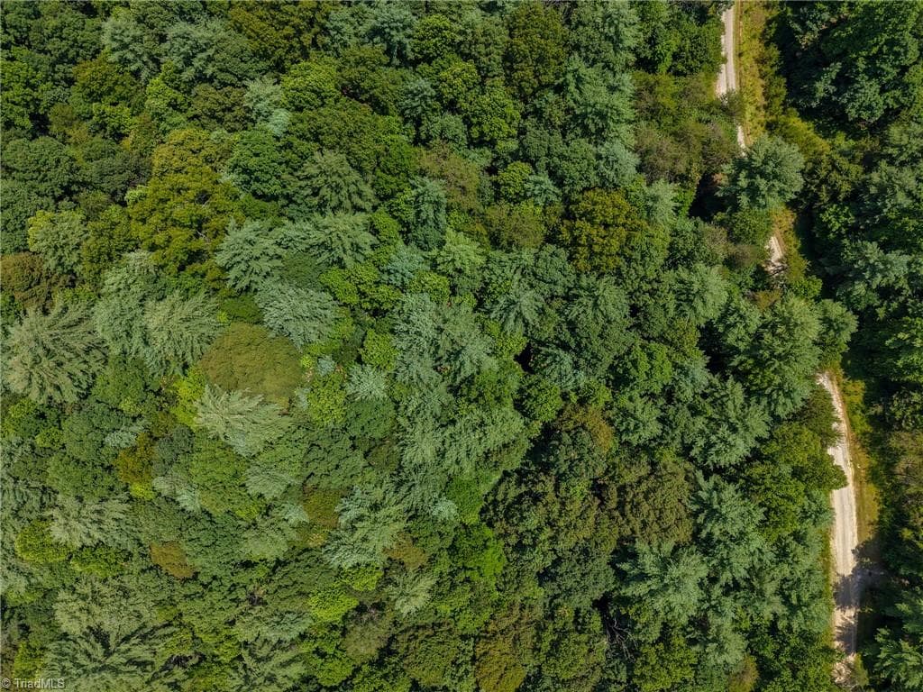 Unimproved Land at 0 Rainbow Trout Drive, Hays NC 28635, Hays, photo 43 of 44