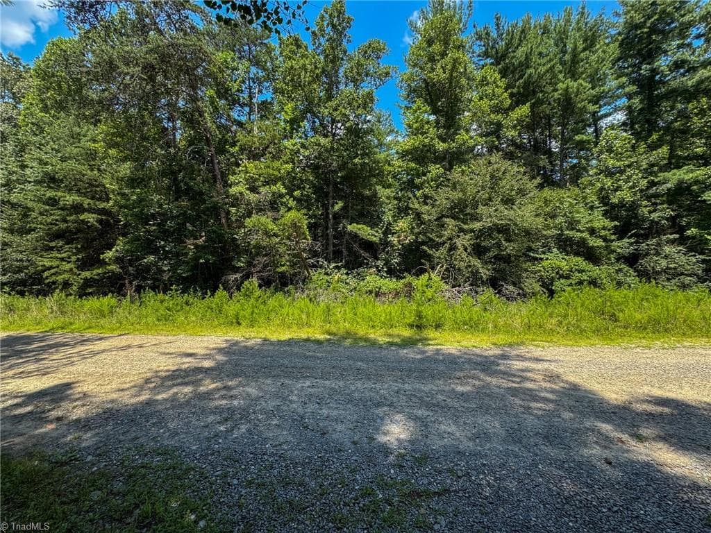 Unimproved Land at 0 Rainbow Trout Drive, Hays NC 28635, Hays, photo 13 of 44
