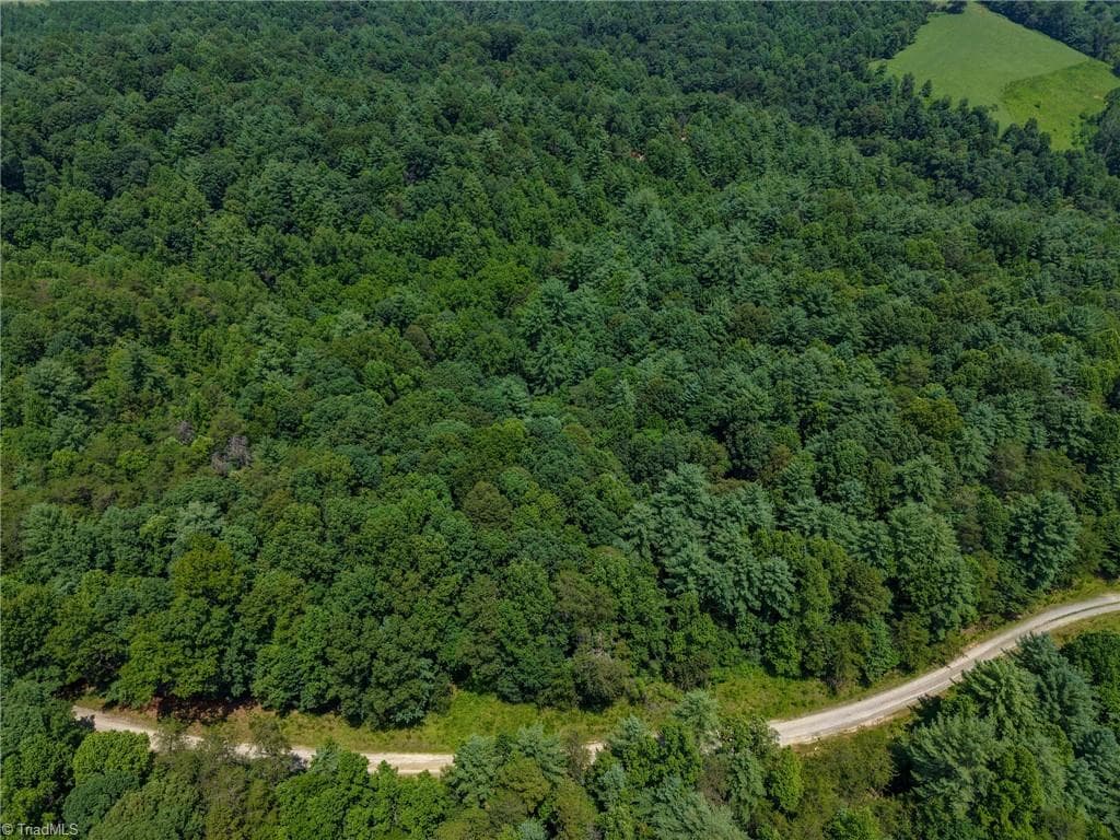 Unimproved Land at 0 Rainbow Trout Drive, Hays NC 28635, Hays, photo 39 of 44