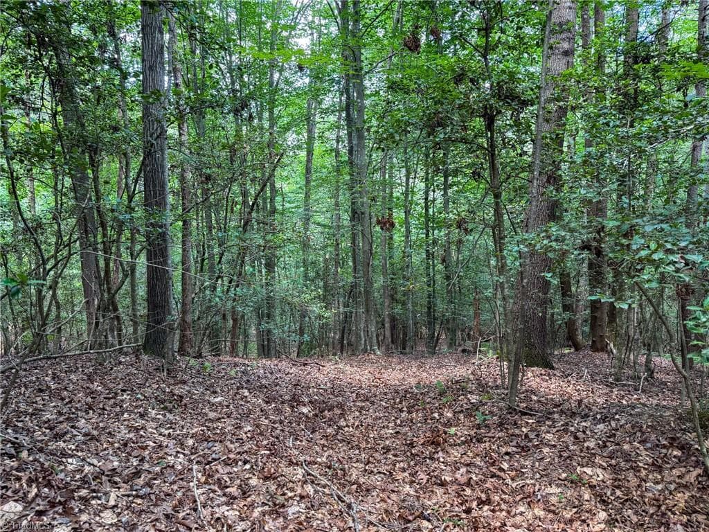 Unimproved Land at 0 Rainbow Trout Drive, Hays NC 28635, Hays, photo 17 of 44