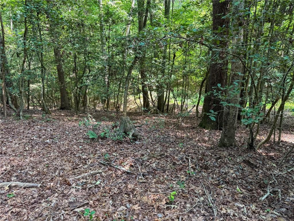 Unimproved Land at 0 Rainbow Trout Drive, Hays NC 28635, Hays, photo 19 of 44