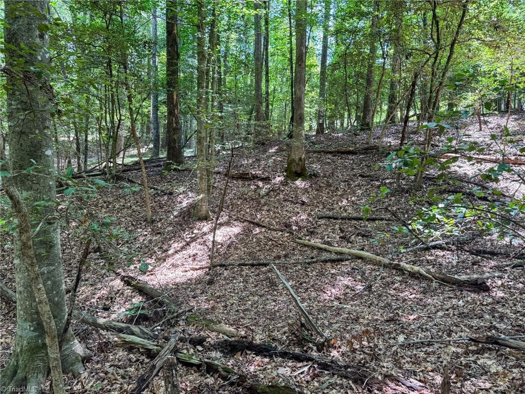 Unimproved Land at 0 Rainbow Trout Drive, Hays NC 28635, Hays, photo 27 of 44