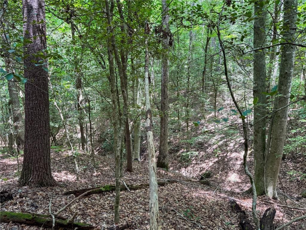 Unimproved Land at 0 Rainbow Trout Drive, Hays NC 28635, Hays, photo 29 of 44