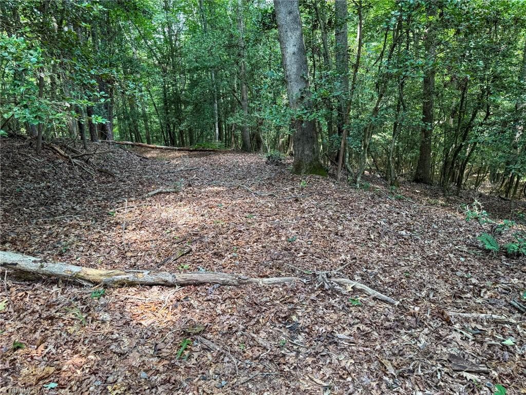 Unimproved Land at 0 Rainbow Trout Drive, Hays NC 28635, Hays, photo 21 of 44