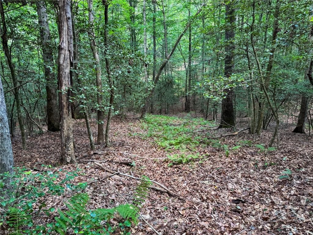 Unimproved Land at 0 Rainbow Trout Drive, Hays NC 28635, Hays, photo 15 of 44