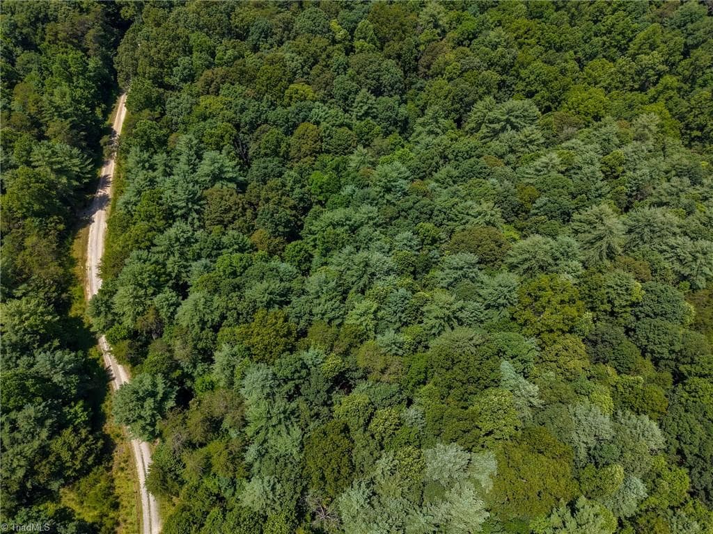 Unimproved Land at 0 Rainbow Trout Drive, Hays NC 28635, Hays, photo 41 of 44