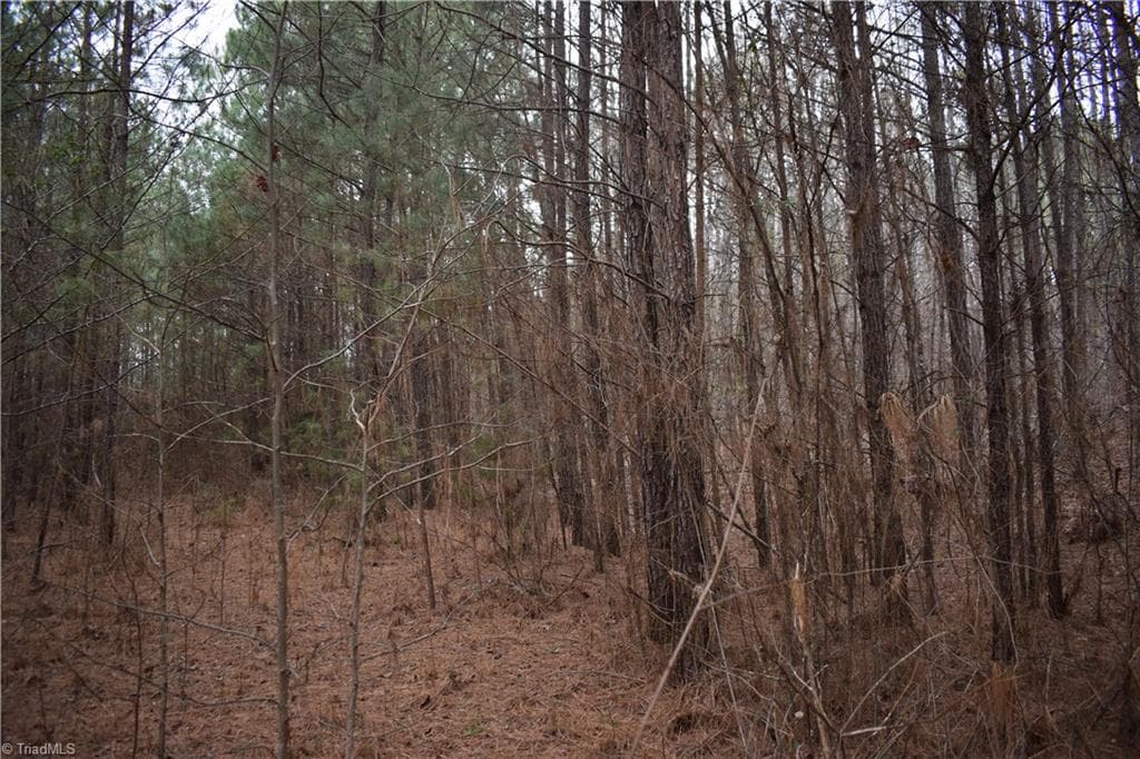 Unimproved Land at 257 Piney Grove Church Road, Siler City NC 27344, photo 2 of 19