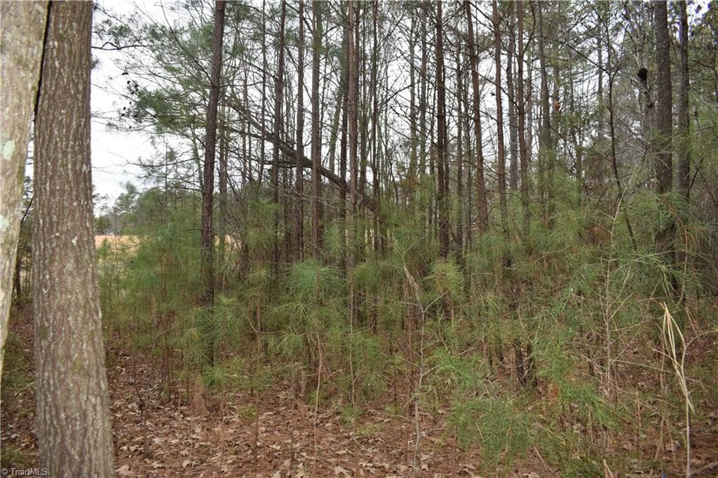 Unimproved Land at 257 Piney Grove Church Road, Siler City NC 27344, photo 6 of 19