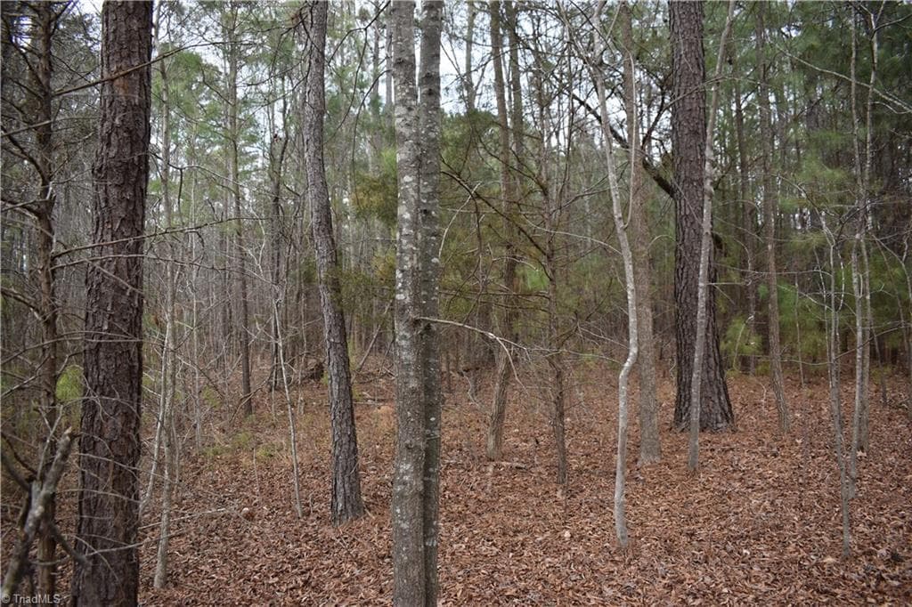 Unimproved Land at 257 Piney Grove Church Road, Siler City NC 27344, photo 12 of 19
