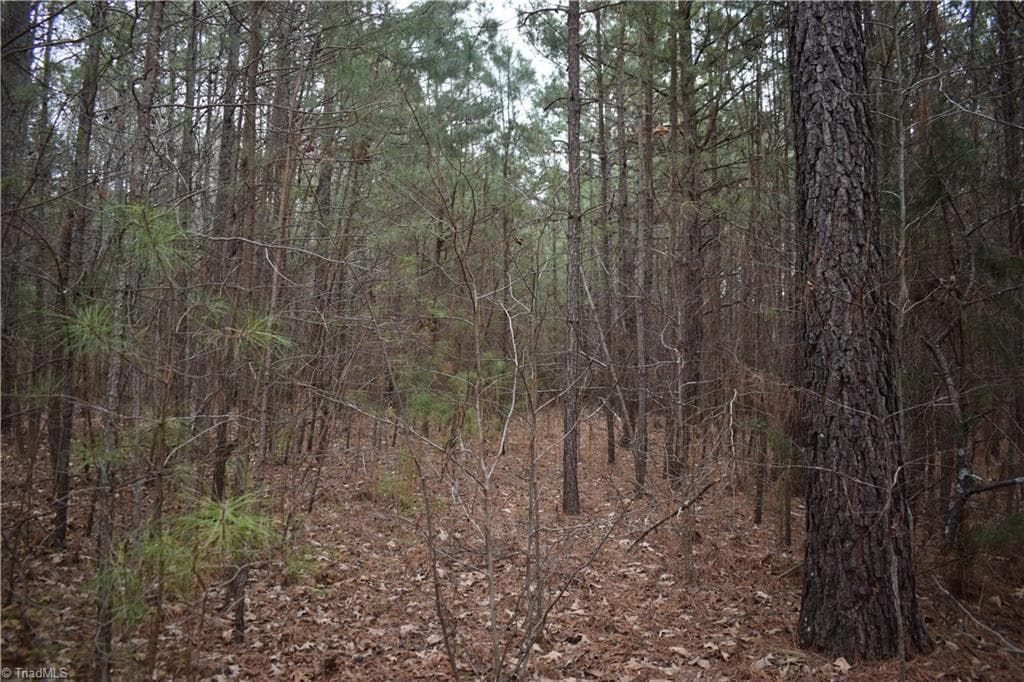 Unimproved Land at 257 Piney Grove Church Road, Siler City NC 27344, photo 7 of 19