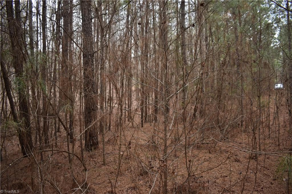 Unimproved Land at 257 Piney Grove Church Road, Siler City NC 27344, photo 3 of 19