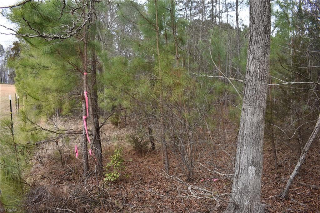 Unimproved Land at 257 Piney Grove Church Road, Siler City NC 27344, photo 9 of 19