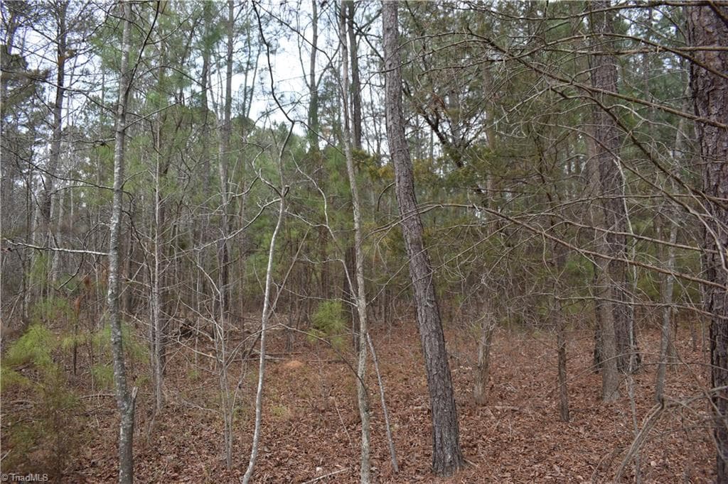 Unimproved Land at 257 Piney Grove Church Road, Siler City NC 27344, photo 10 of 19