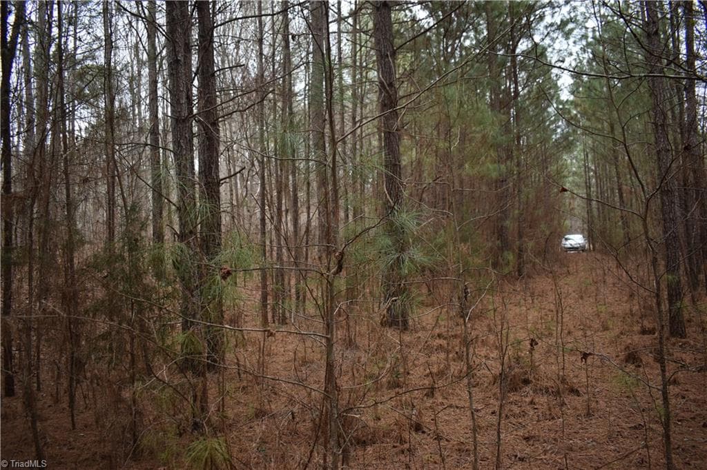 Unimproved Land at 257 Piney Grove Church Road, Siler City NC 27344, photo 15 of 19