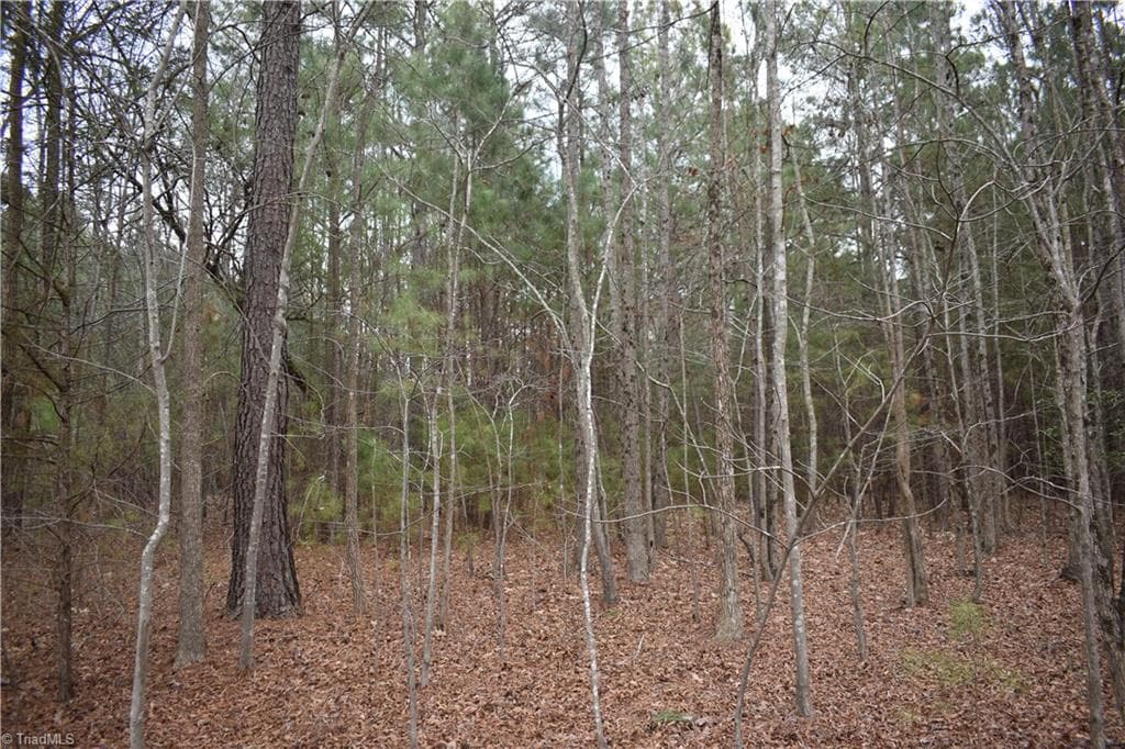 Unimproved Land at 257 Piney Grove Church Road, Siler City NC 27344, photo 11 of 19