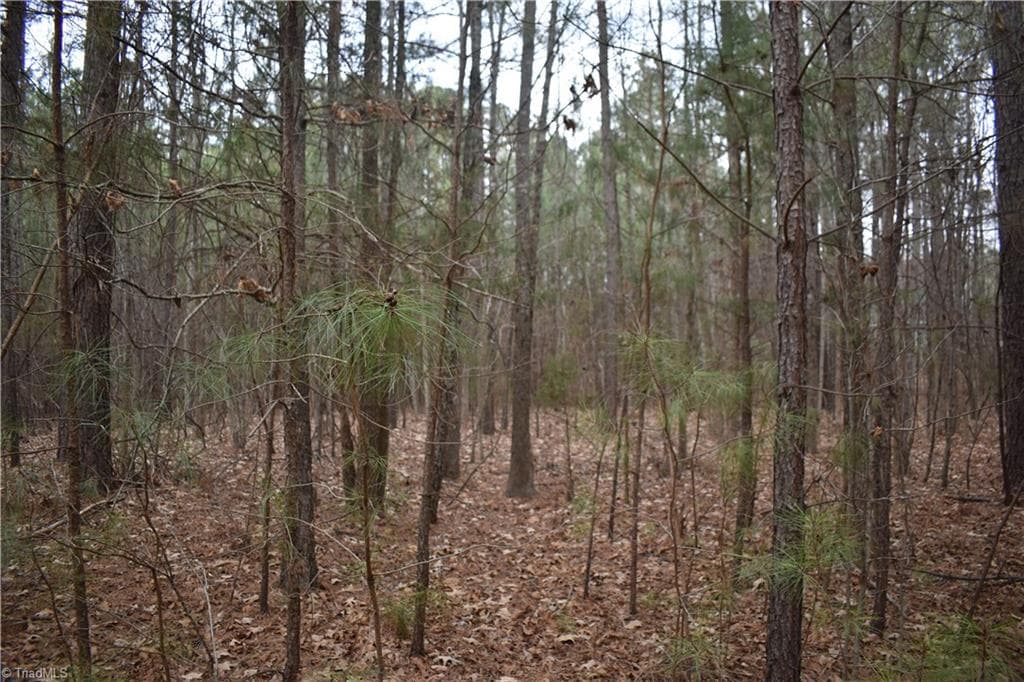 Unimproved Land at 257 Piney Grove Church Road, Siler City NC 27344, photo 8 of 19
