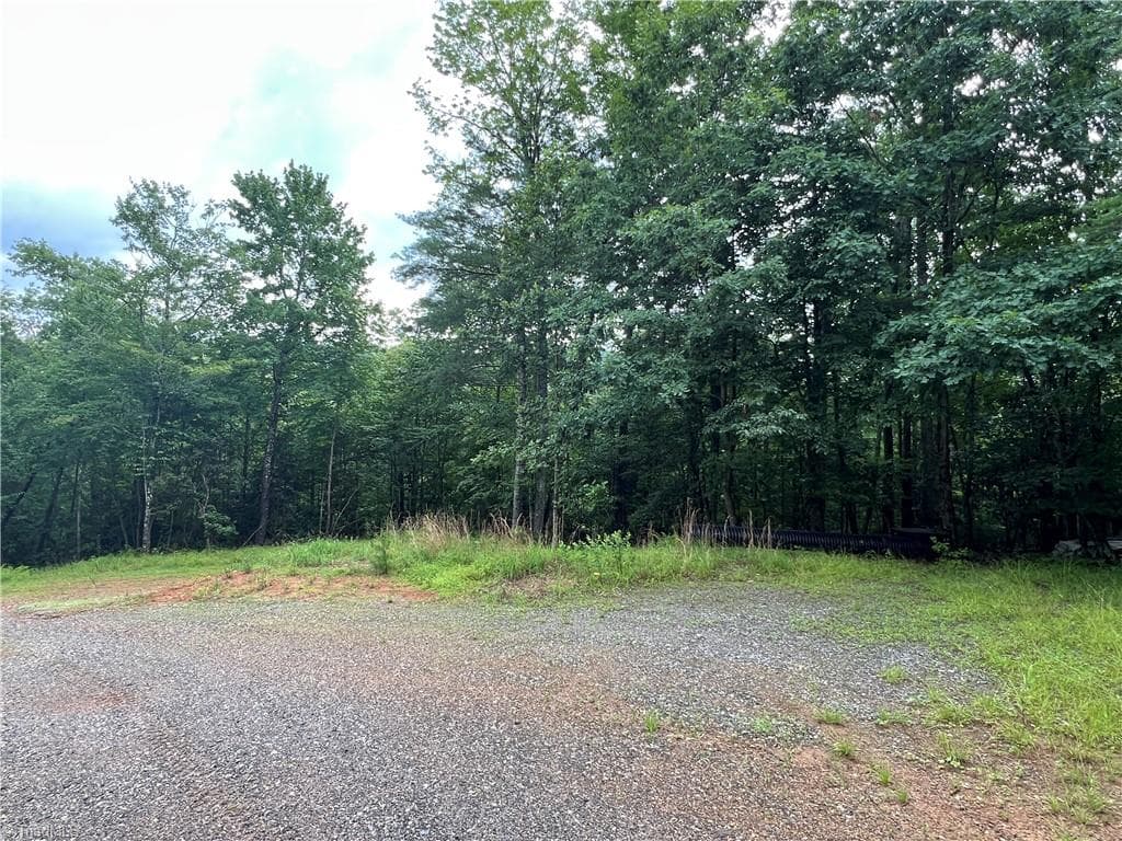 Single Family Residence at TBD Staghorn Road, Purlear NC 28665, Purlear, photo 12 of 50