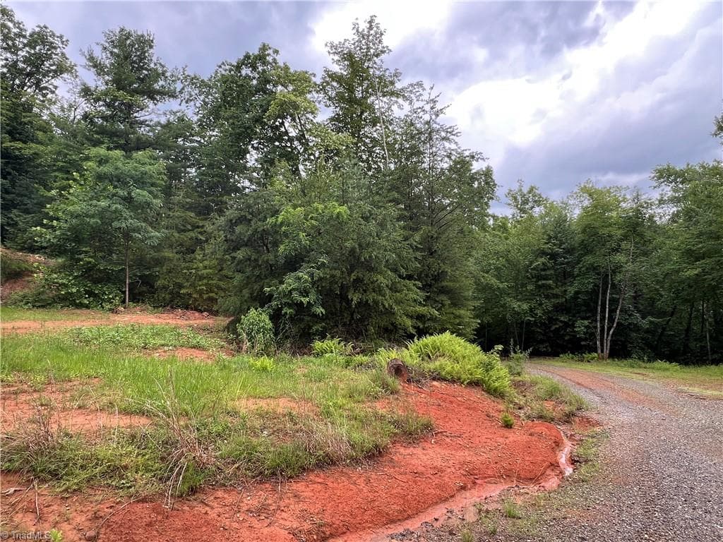 Single Family Residence at TBD Staghorn Road, Purlear NC 28665, Purlear, photo 26 of 50
