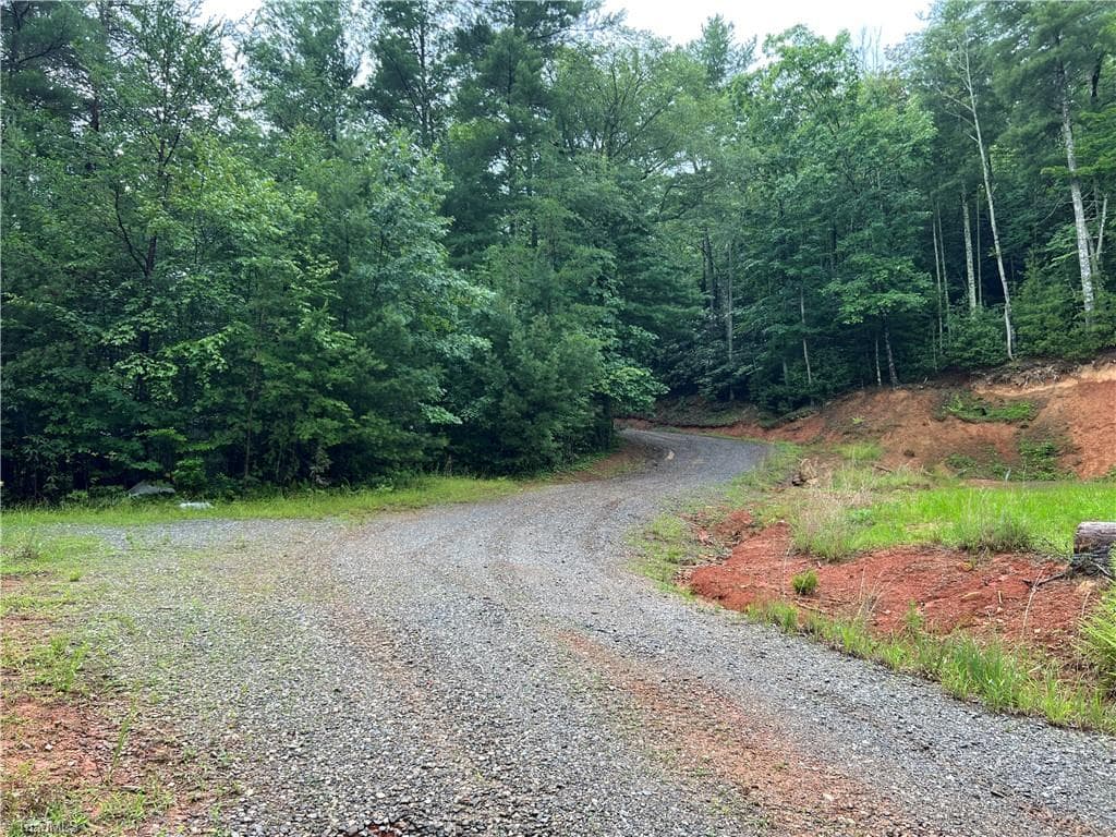 Single Family Residence at TBD Staghorn Road, Purlear NC 28665, Purlear, photo 22 of 50
