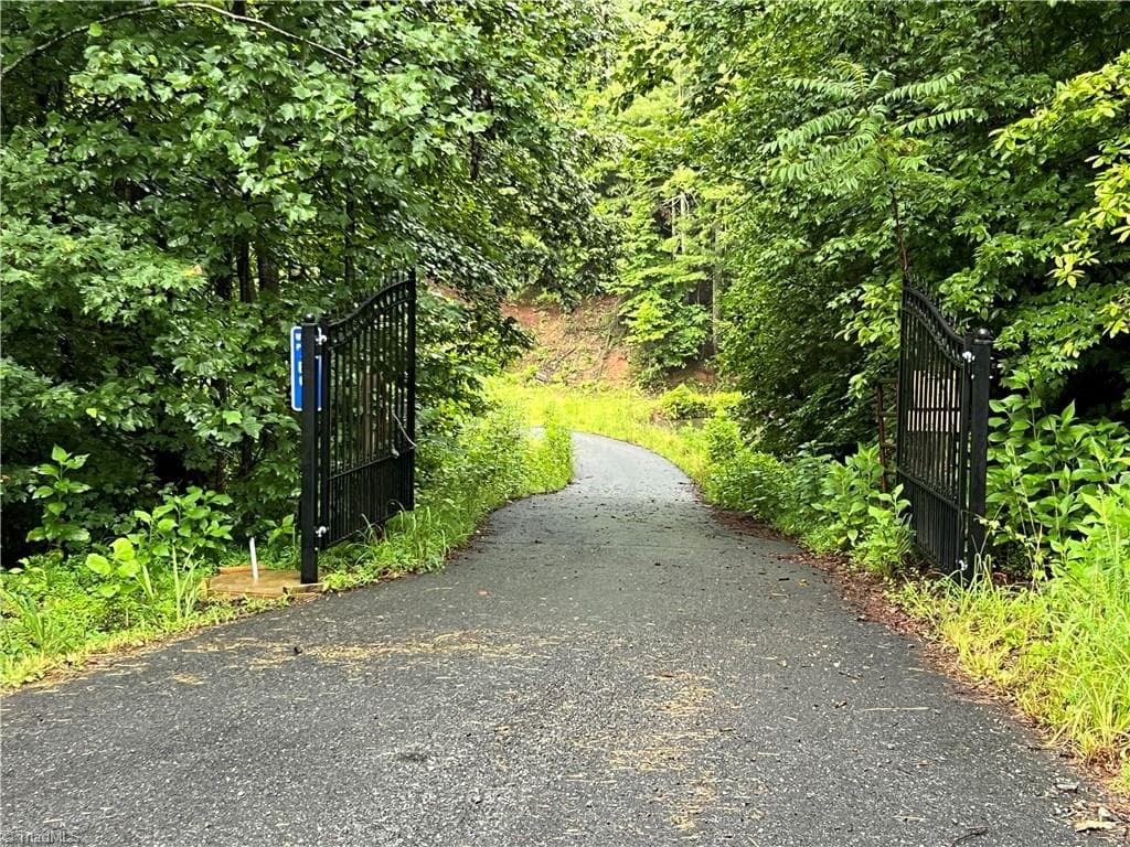 Single Family Residence at TBD Staghorn Road, Purlear NC 28665, Purlear, photo 3 of 50