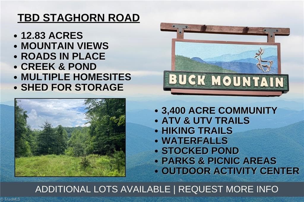 TBD Staghorn Road, Purlear NC 28665