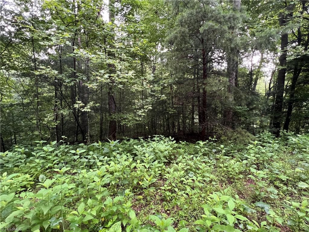 Single Family Residence at TBD Staghorn Road, Purlear NC 28665, Purlear, photo 20 of 50