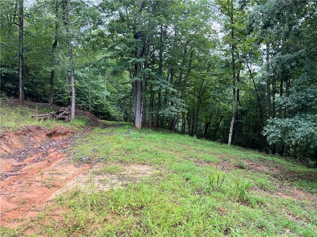 Single Family Residence at TBD Staghorn Road, Purlear NC 28665, Purlear, photo 10 of 50