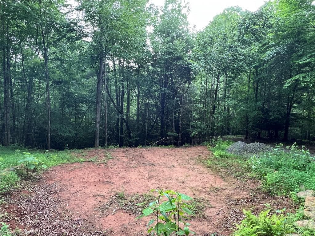 Single Family Residence at TBD Staghorn Road, Purlear NC 28665, Purlear, photo 18 of 50