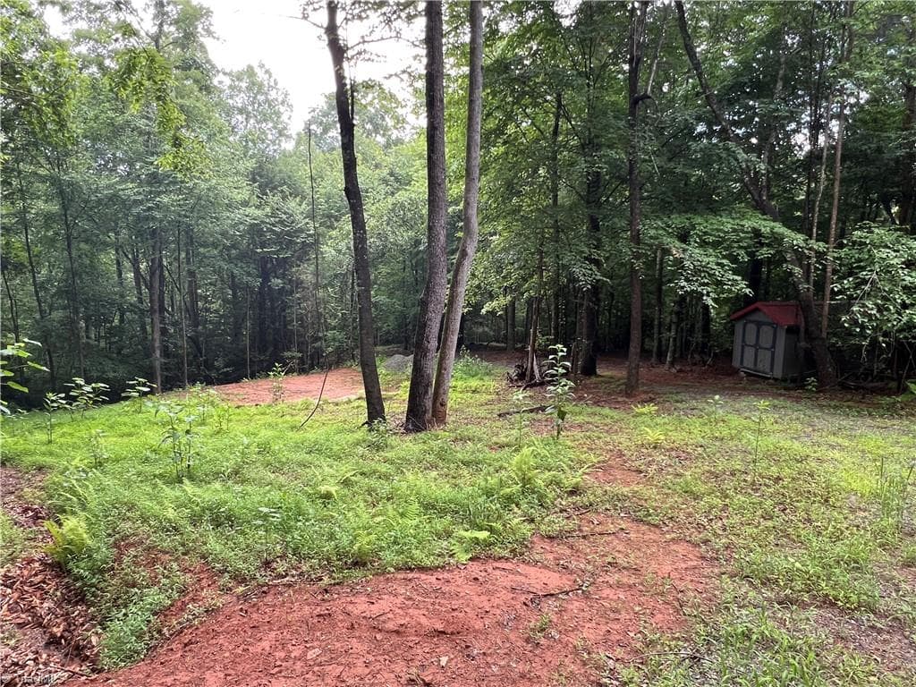 Single Family Residence at TBD Staghorn Road, Purlear NC 28665, Purlear, photo 15 of 50