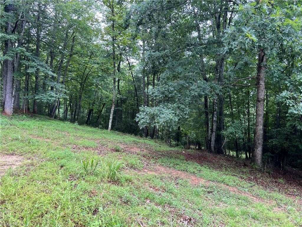 Single Family Residence at TBD Staghorn Road, Purlear NC 28665, Purlear, photo 11 of 50
