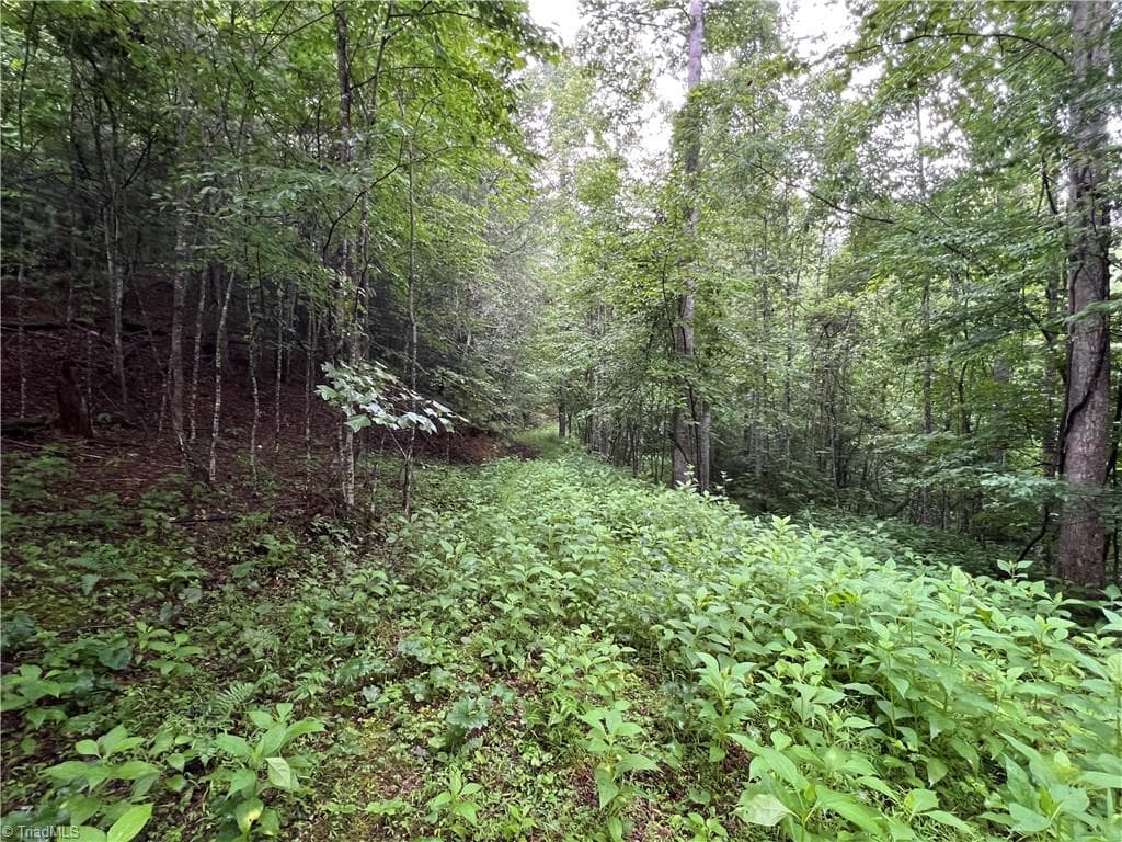 Single Family Residence at TBD Staghorn Road, Purlear NC 28665, Purlear, photo 19 of 50