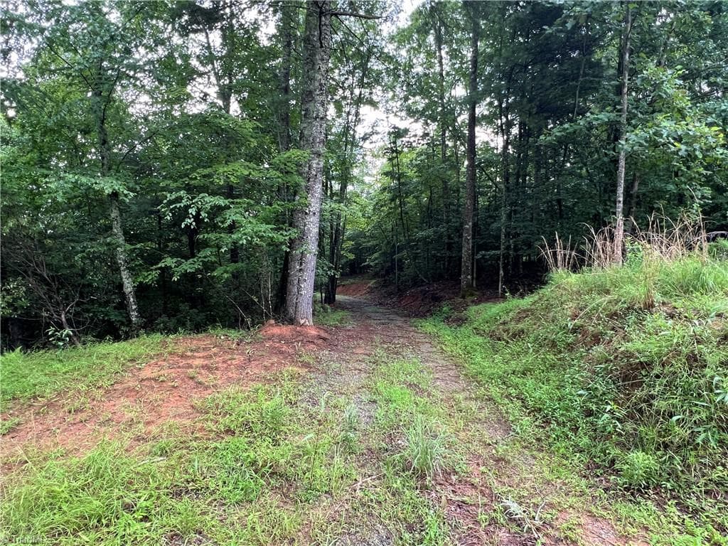 Single Family Residence at TBD Staghorn Road, Purlear NC 28665, Purlear, photo 21 of 50