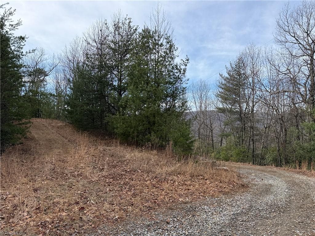 Single Family Residence at Lots 207 & 220 Maple Valley Lane, Purlear NC 28665, Purlear, photo 6 of 39