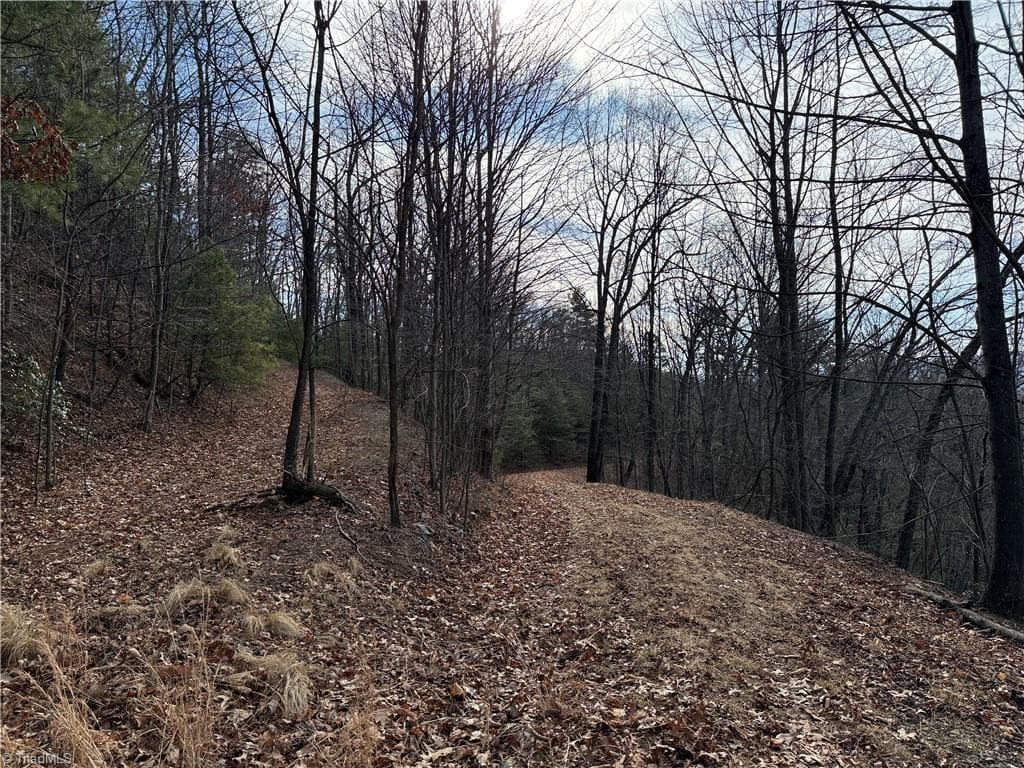 Single Family Residence at Lots 207 & 220 Maple Valley Lane, Purlear NC 28665, Purlear, photo 10 of 39