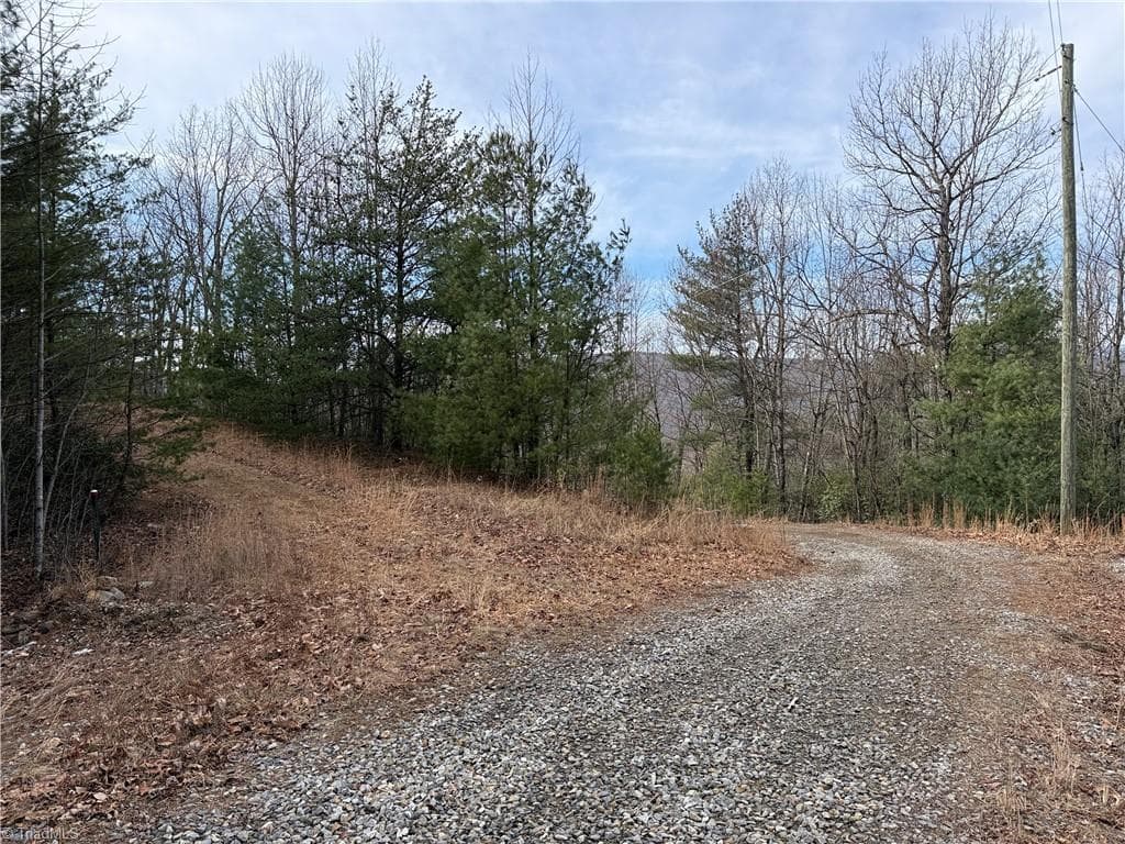 Single Family Residence at Lots 207 & 220 Maple Valley Lane, Purlear NC 28665, Purlear, photo 18 of 39